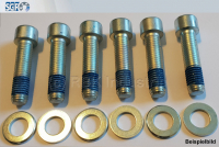 SGF - Schraubensatz M22 X 80 BI-10008